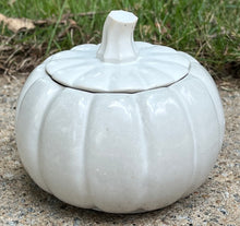 Load image into Gallery viewer, Handmade Concrete Pumpkin Jars/Planters/Decoration