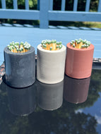 Handmade Concrete Matches Holder